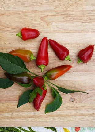 Hot Pepper