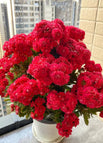 20 Seeds / Rose Red