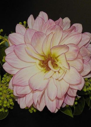 SWEET NATHALIE