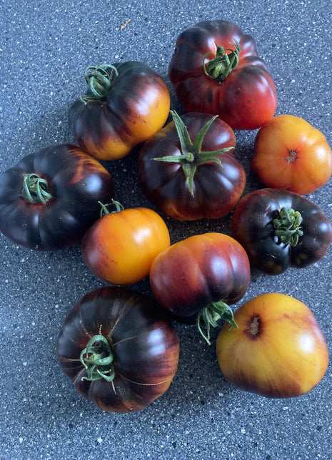 Lucid Gem Tomato Seeds Organic, Heirloom Tomatoes