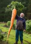 Carrot / 20 seeds