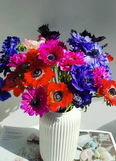 Anemone Seeds