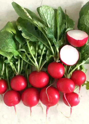 Radish Cherry Belle