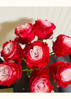 cherry lips / 20 Seeds