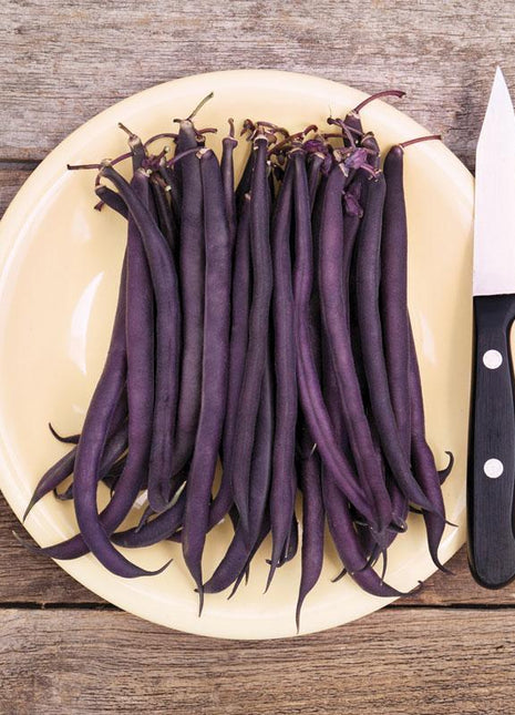Bean Amethyst