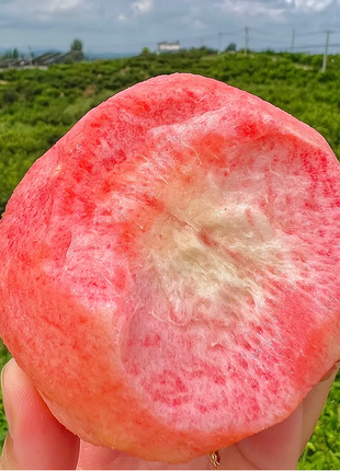 Peach Seeds