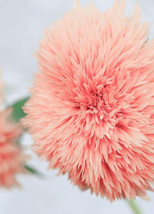 Pink Pooh Sunflower