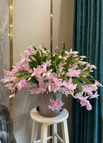 200 Seeds / Pink