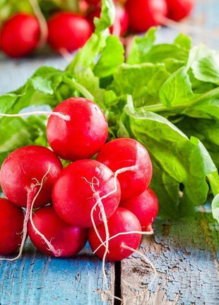 Radish Cherry Belle