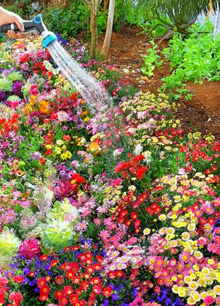 Perennial Flowers Seeds-Over 60 kinds mixed