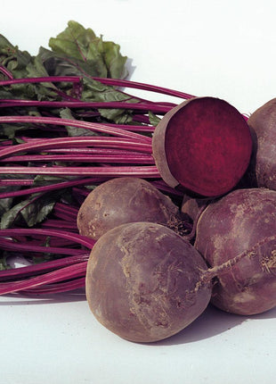 Beet Eagle F1