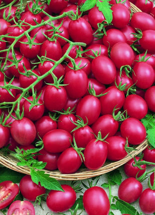 Tomato Cherry Pink Grape