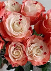 rose strawberries / 20 Seeds