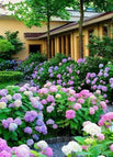 ALL COLOR(blue+yellow+white+red+purple+green+pink) / 50 Seeds