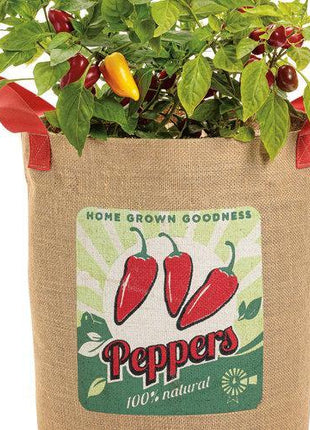Hot Pepper