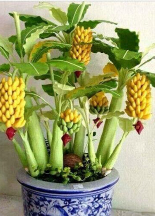 30pcs Dwarf Banana Seeds Bonsai Tree Tropical Fruit Seeds Balcony Home Plants