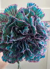 #2 Multi-color / 50 Seeds