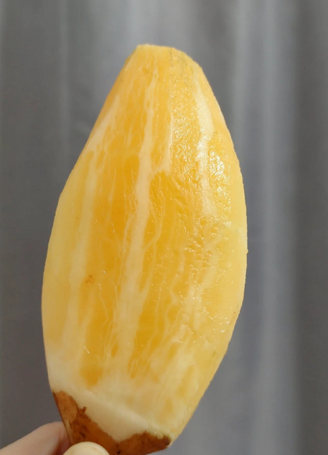 Yacon Seeds