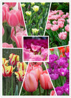 ALL COLORS(#1+#2+#3+#4+#5+#6+#7)700pcs