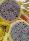 Yellow / White / 20 Seeds